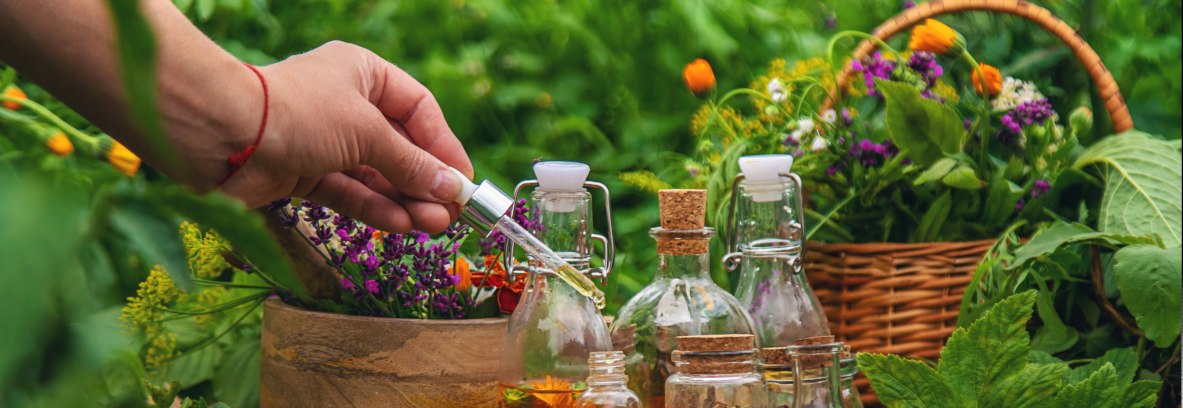 Ancient herbalism uses only plants, while more modern homeopathy uses plant, animal or mineral remedies, addressing both physical and mental dimensions.